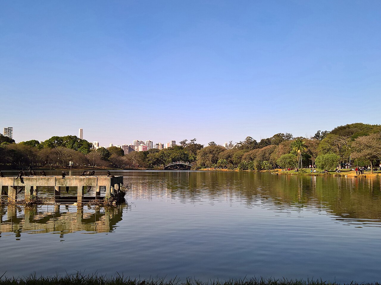 São Paulo skyline seen across the lake at Ibirapuera Park